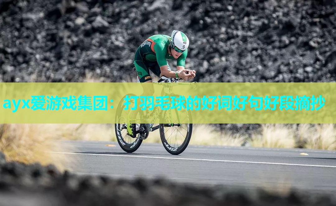 ayx爱游戏集团：打羽毛球的好词好句好段摘抄