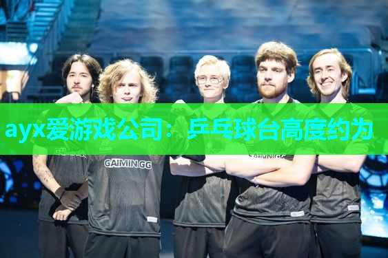 乒乓球台高度约为
