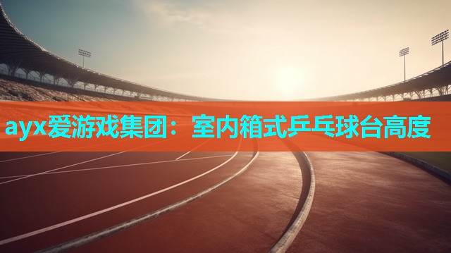 室内箱式乒乓球台高度