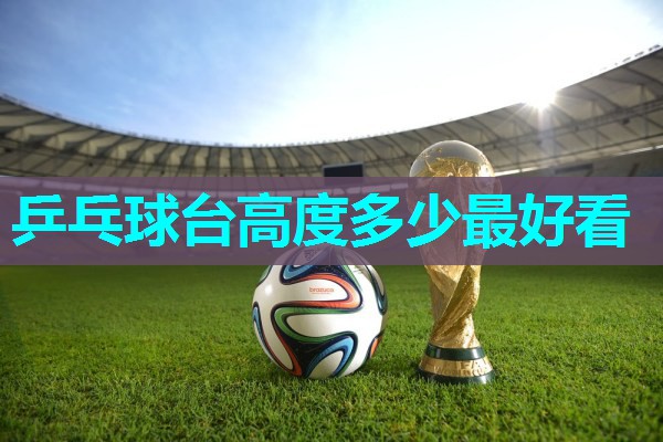 乒乓球台高度多少最好看